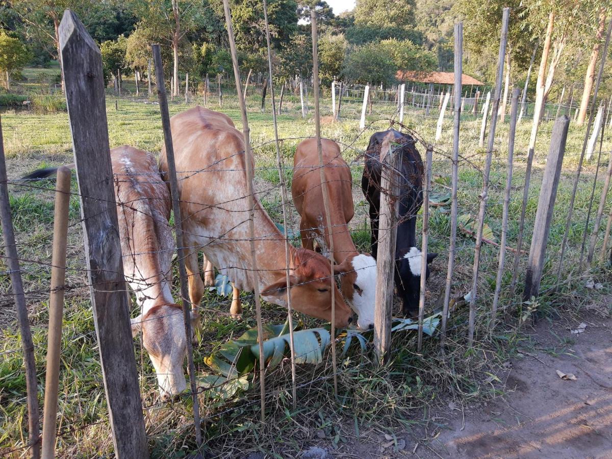 Pousada Roseira Lagoinha Sp Dış mekan fotoğraf