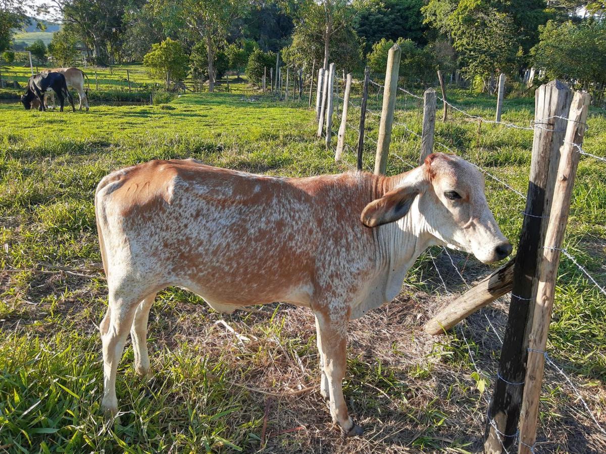Pousada Roseira Lagoinha Sp Dış mekan fotoğraf