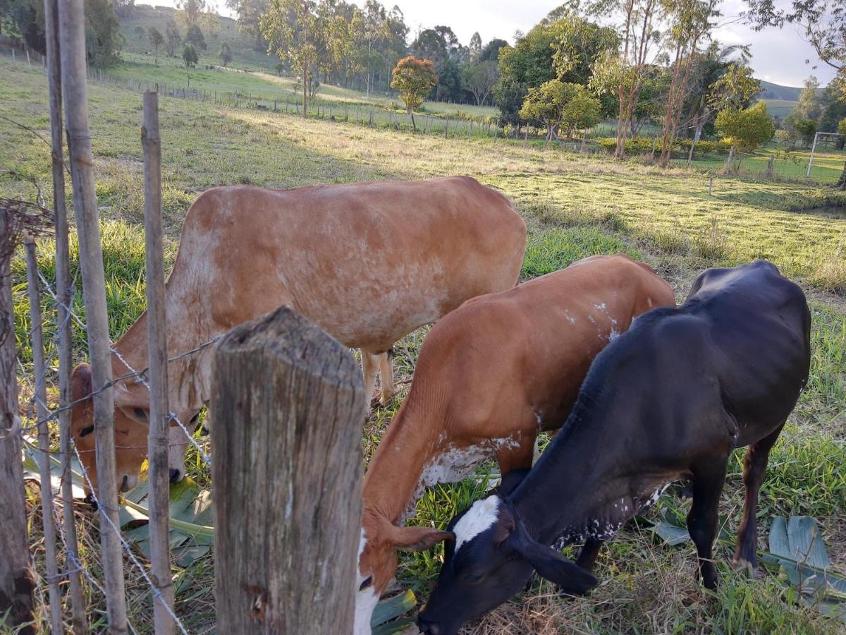 Pousada Roseira Lagoinha Sp Dış mekan fotoğraf